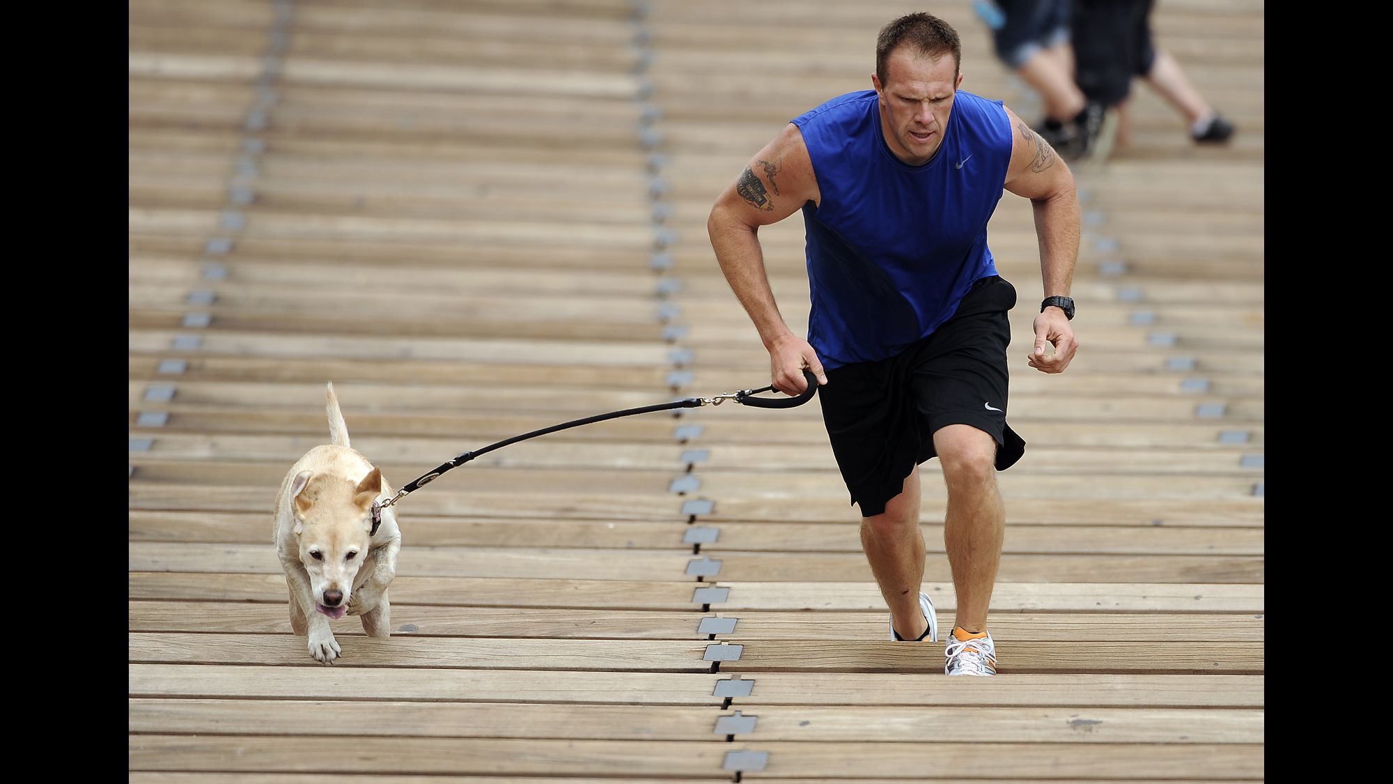 can you over exercise your dog