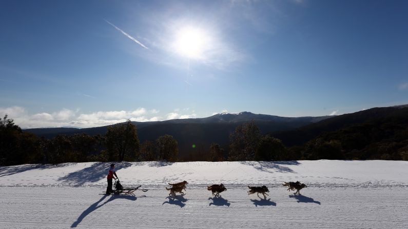 A competitor in Australia takes part in the Mt. Buller Sled Dog Quest on Wednesday, July 29.