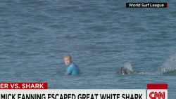 surfer encounters shark during competition fanning intv ac _00002319.jpg