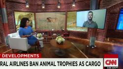 global backlash to trophy hunting Salmoni interview Newday _00032907.jpg