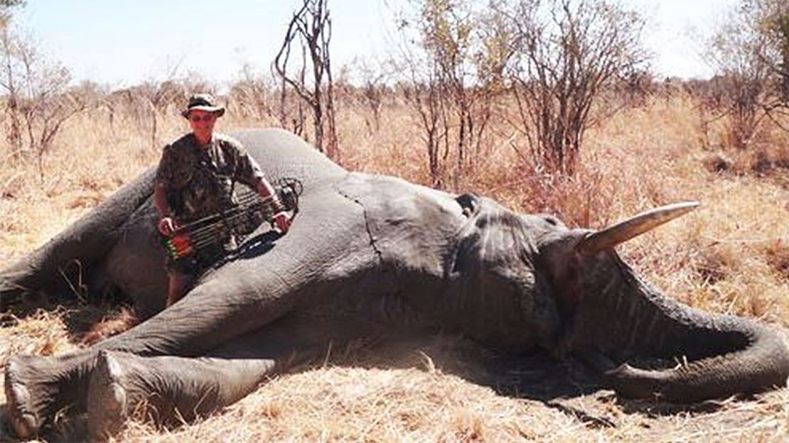 A photo posted to the Alaska bowhunting website shows Dr. Jan Seski standing next to a bull elephant killed by an arrow.