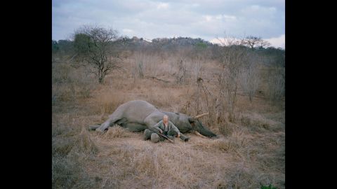 Untitled hunter with trophy elephant, Zimbabwe.