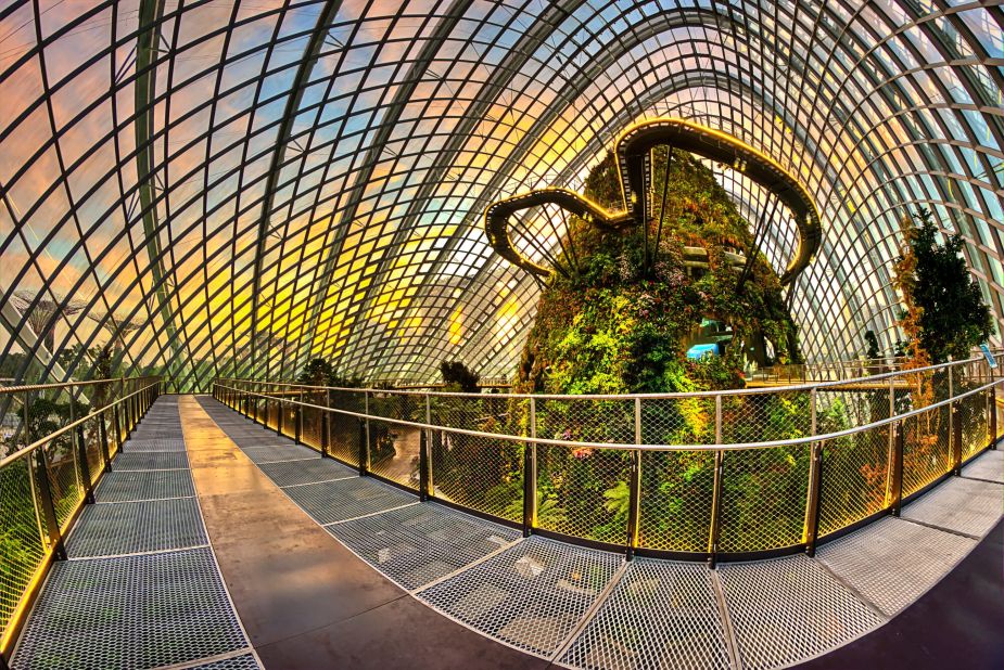 World's tallest indoor waterfall, supertrees, world's largest column-less greenhouse -- a walk through Gardens by the Bay is like visiting a theme park of plants.