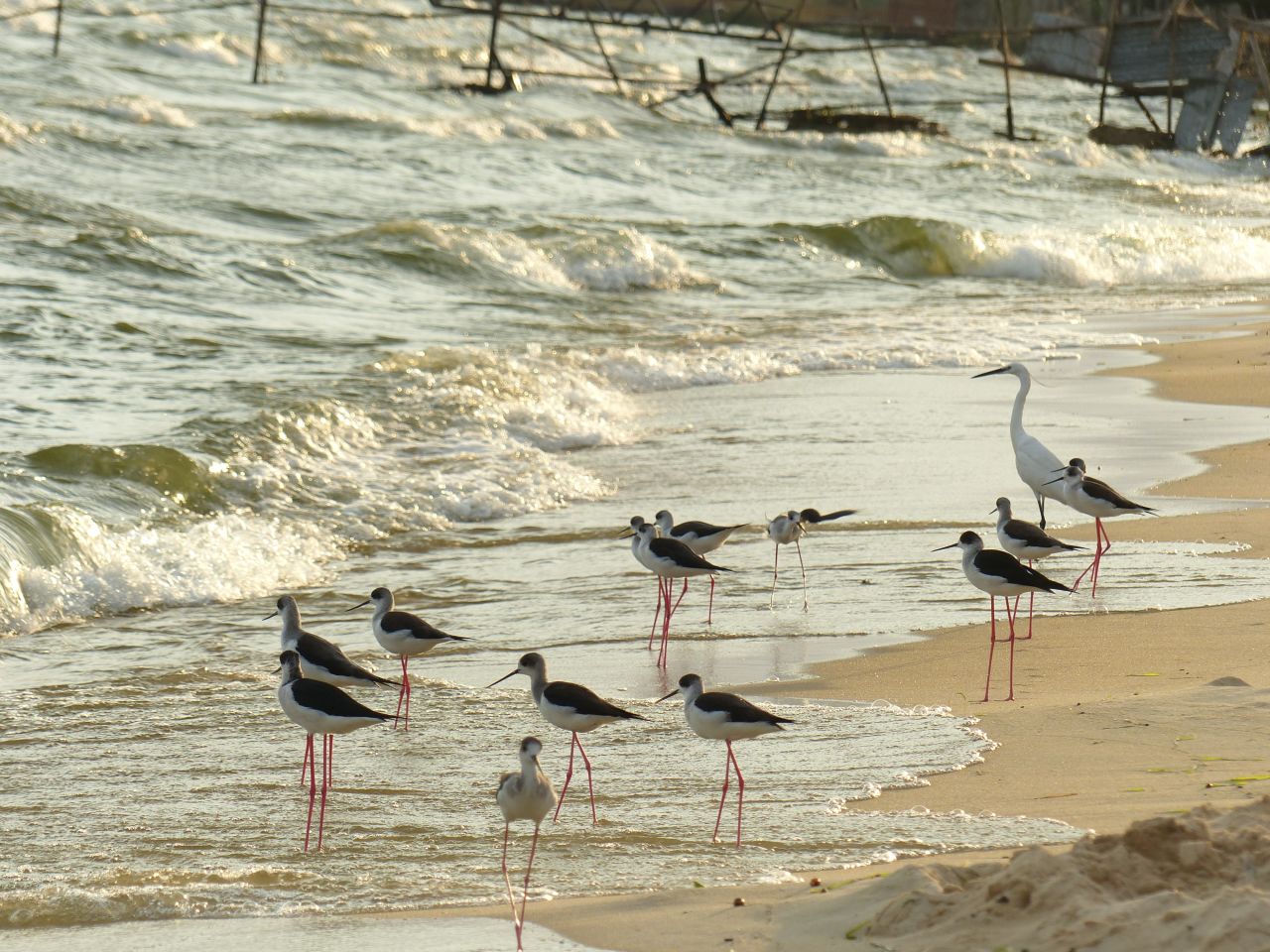 Entebbe is expected to welcome just under half a million visitors in 2015. Birds enjoy the water on Lido Beach, Entebbe. <br /><br /><a href="https://www.cnn.com/2015/03/17/africa/africas-top-ten-cities-for-investors/index.html" target="_blank"><strong>Top 10: Africa's 'Cities of Opportunity' revealed</strong></a>