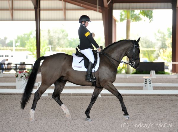 Collier finished ninth of 25 riders at last year's World Equestrian Games and is tipped to star for the United States at the 2016 Rio Paralympics.