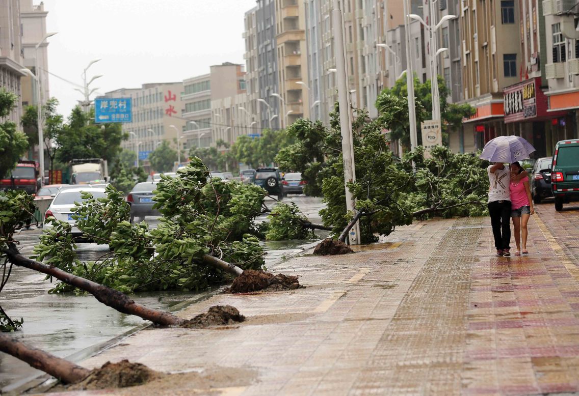 Trees torn down by strong wind are seen on the road in Jinjiang, China, on August 8. 