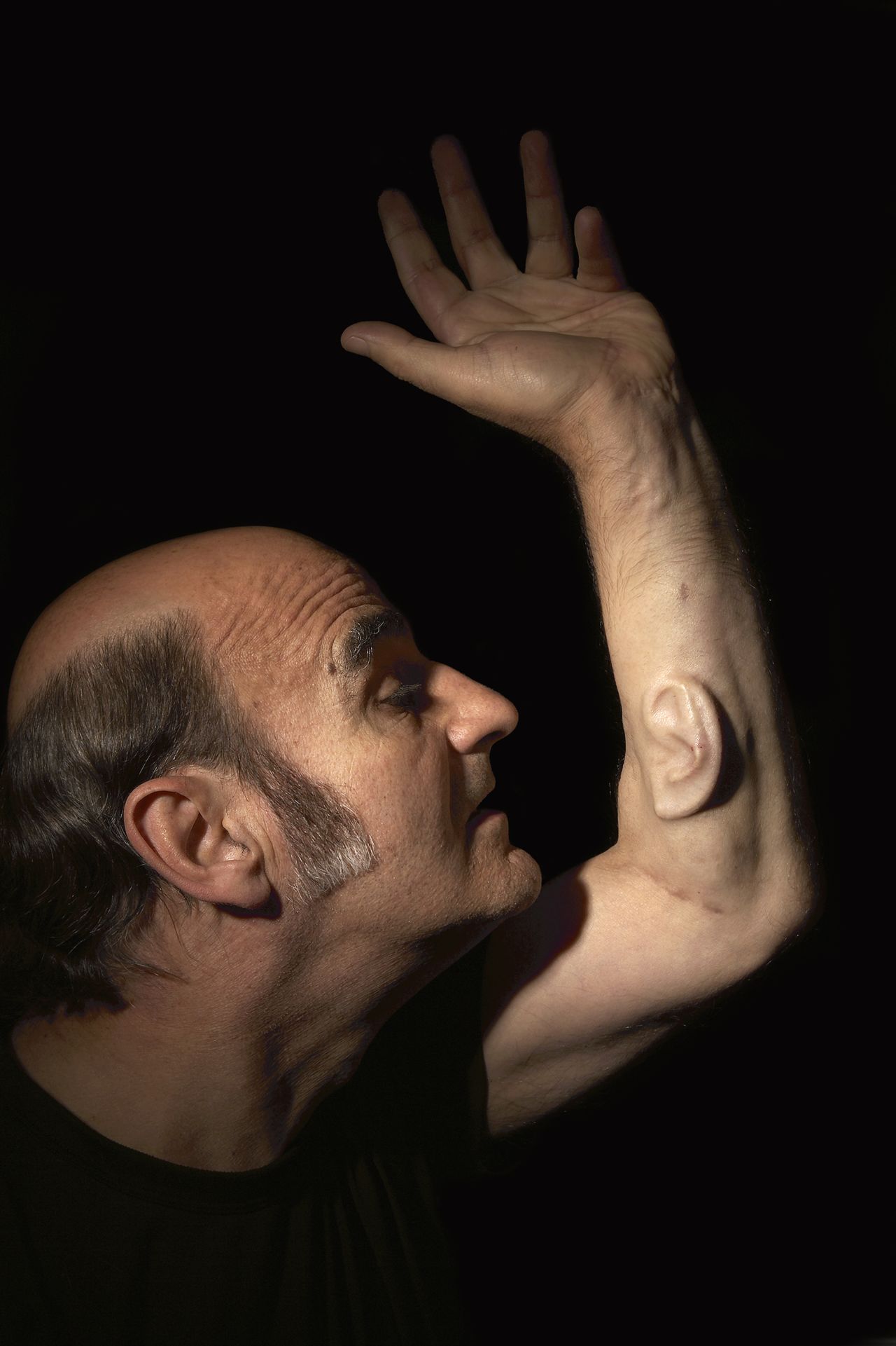 Other artists have also experimented in bio-art. Award-winning Australian performance artist Stelarc, for example, surgically implanted an ear into his arm. 