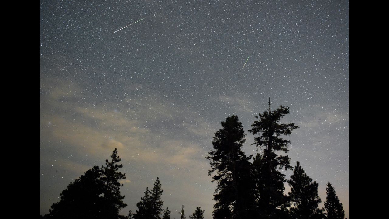 A pair of meteors are visible in the sky above desert pine trees in the Spring Mountains National Recreation Area in Nevada on August 13.
