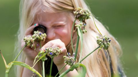 Another student at Burton Hill examines a flower in her school garden through a magnifying glass.