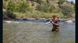 An EPA worker takes a water reading in the Animas River near Durango, Coloradon on Friday, August 14.