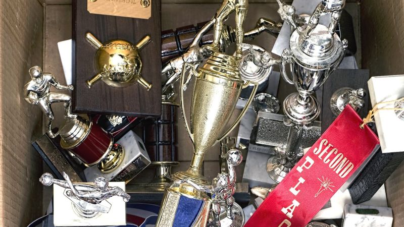 13 Trophy cases ideas in 2023  trophy case, trophy, trophy display