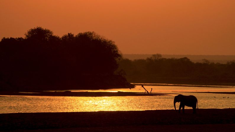 The Luangwa is one of the major tributaries of the Zambezi River. It usually floods in the rainy season between December and March. 