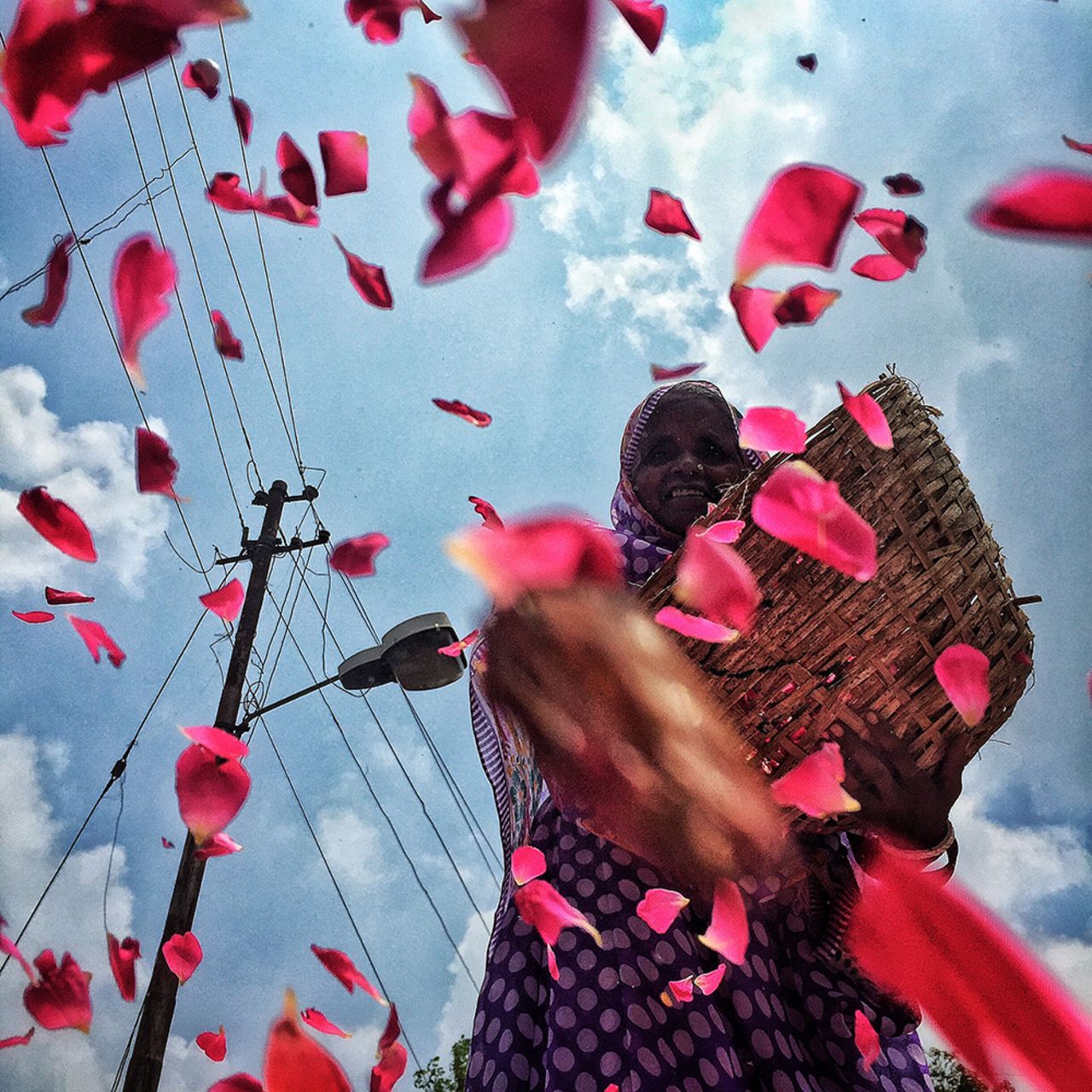 An elderly Indian flower vendor spreads<a href="https://instagram.com/p/5Z1Os7BNoK/" target="_blank" target="_blank"> rose petals</a> on the streets of city of #Kumbh #Allahabad