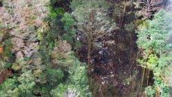 This handout aerial photo released by the National Search and Rescue Agency (Basarnas) on August 17, 2015 shows the wreckage from a Trigana Air ATR 42-300 twin-turboprop scattered amongst trees in the mountainous area of Oksibil district, in Papua province, a day after it went missing after take-off from Jayapura, the capital of Papua province. Rescuers raced on August 17 to reach debris in remote eastern Indonesian mountains believed to be from the plane that crashed carrying 54 people and cash worth almost half a million USD.