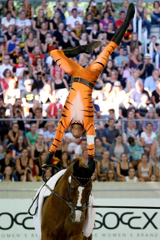There aren't too many places in the world where you can see a man dressed in a tiger leotard doing a handstand on a moving horse, but Aachen was one of them. Here, Thomas Brusewitz performs on his horse Airbus in the Vaulting competition. The German won the silver medal in the men's freestyle event. His compatriot Jannis Drewell took gold riding Diabolus. Brusewitz's brother, Viktor won the bronze. 