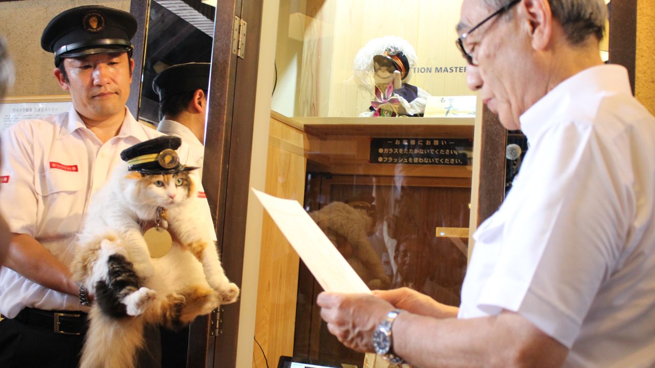 Nitama  -- the new stationmaster of Kishi Station in Wakayama Prefecture --  has been praised for her "hat-wearing" skills.