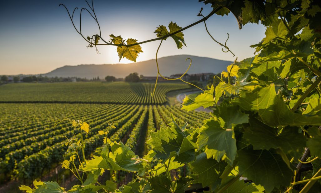 Like Champagne, Italy's Franciacorta is both a geographical region and a wine. The wine is made using methode champenoise -- a special way of getting it to sparkle -- and with the same grape varietals as chardonnay, pinot noir and pinot blanc.