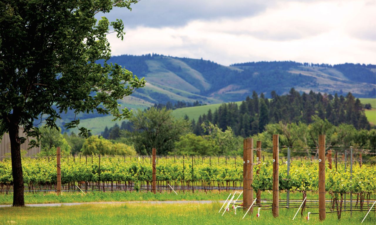 Though often overlooked in favor of Oregon's Willamette Valley, the lush Walla Walla Valley, which spans both Oregon and Washington, is one of the United States' most dynamic and fastest growing wine regions.