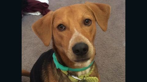 Victor Amor at his adoption
