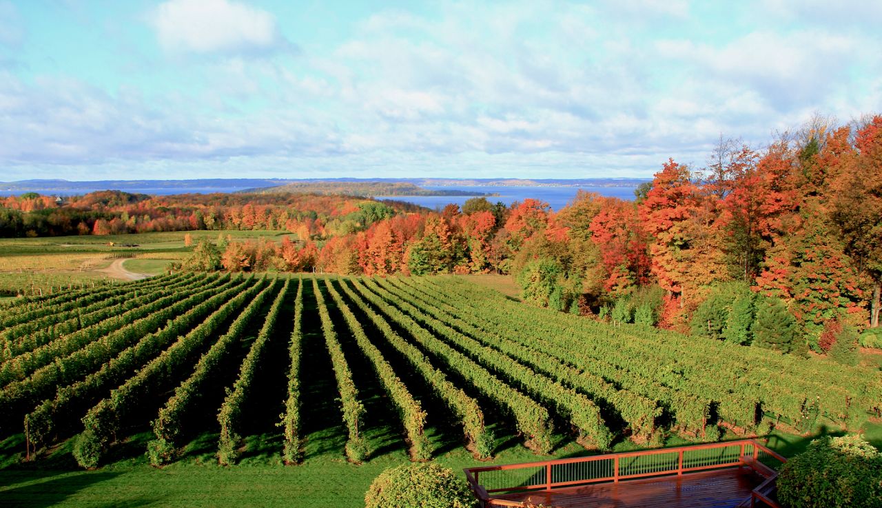 Michigan wine country is largely undeveloped, comprising just 100 or so small- to medium-sized wineries and just more than 3,000 acres of wine-producing vineyards. Yet the new wines coming out of the region are terrific.