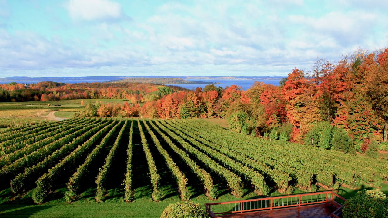 Sometime soon someone may fill your glass with a Michigan wine.