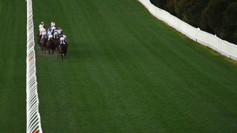 Horses head into the back straightaway during a race Saturday, August 22, at Melbourne's Moonee Valley Racecourse.