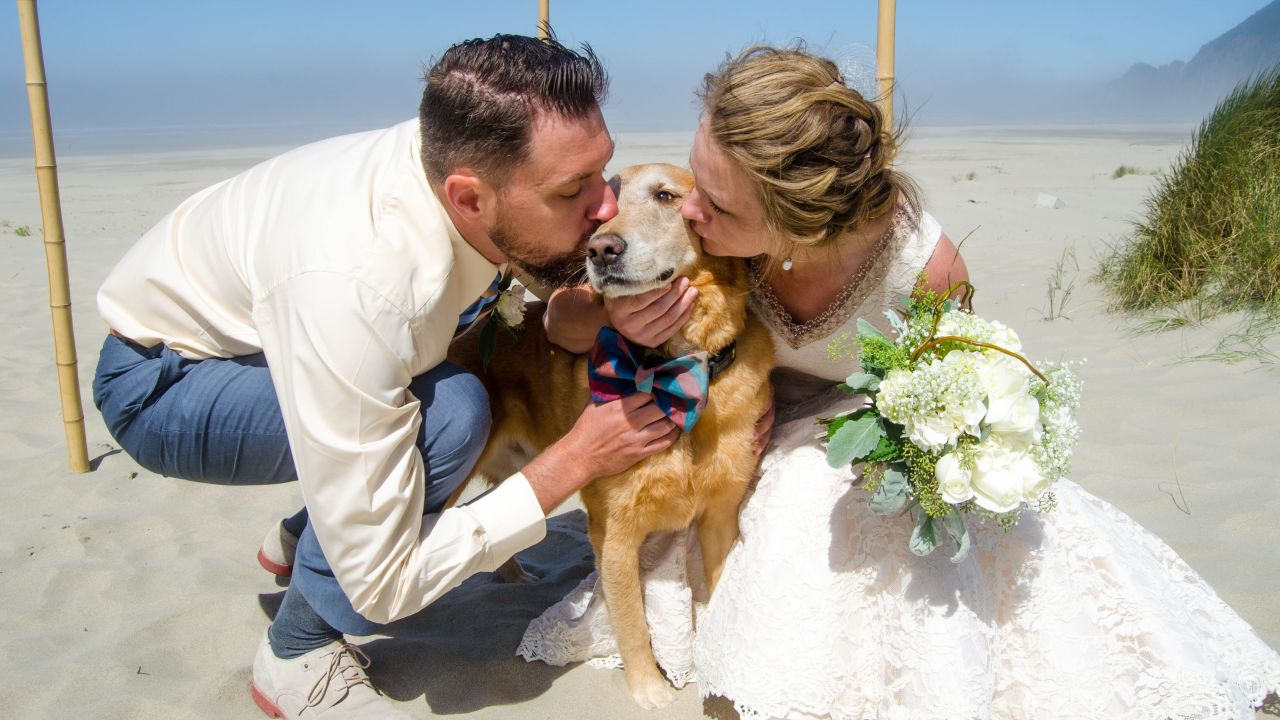 Dood the dog did a "fantastic job as the ring bearer" at Cassidy Williams' wedding in early August. "It was really precious," she said. The event was bittersweet, because Dood had recently been diagnosed with terminal cancer. 
