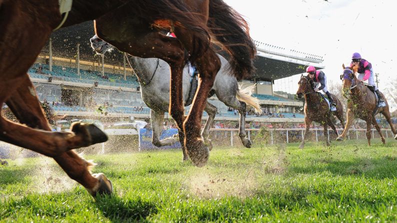 Horses kick up sand during a race in Melbourne on Saturday, August 22.