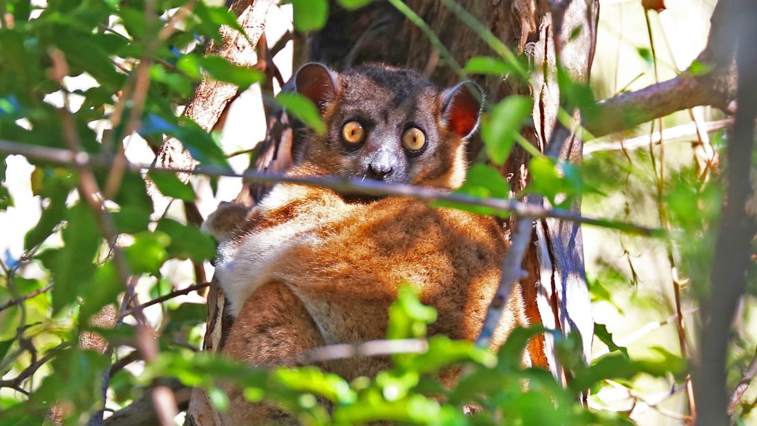 The political landscape in Madagascar has changed following the 2014 elections, and there is increased optimism regarding international investment. 