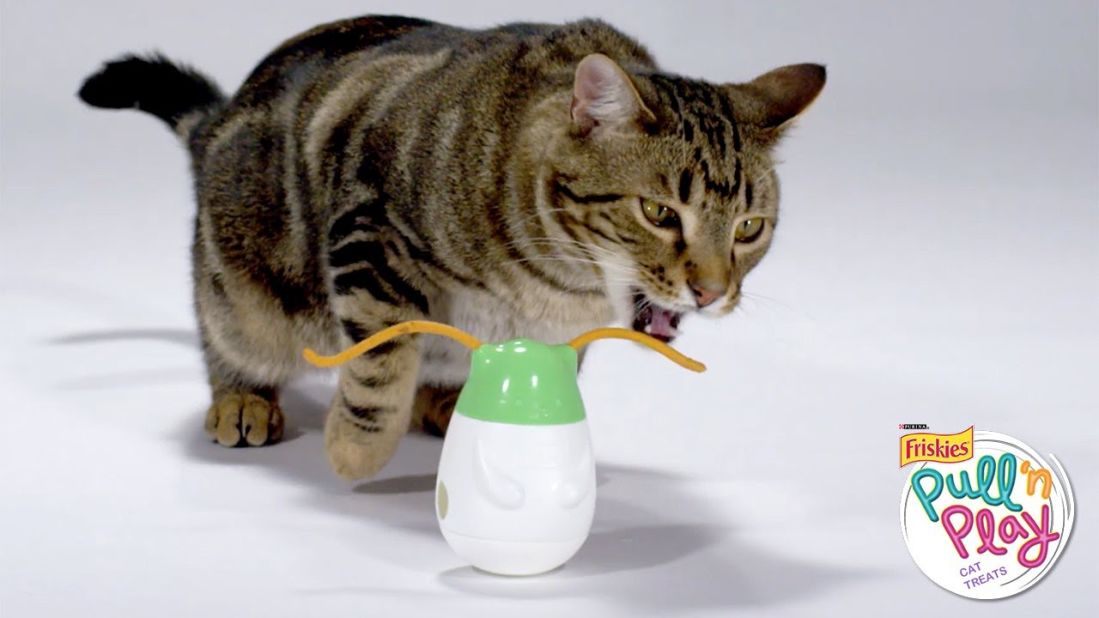 Cat food company Friskies has a <a href="https://www.friskies.com/today-we-play/games-for-cats" target="_blank" target="_blank">series of digital games</a> for cats, including Pull 'n Play, which encourages cats to snip off the growing spaghetti-like ears of a bobbling creature. It was designed to mimic the real-life toy seen here.