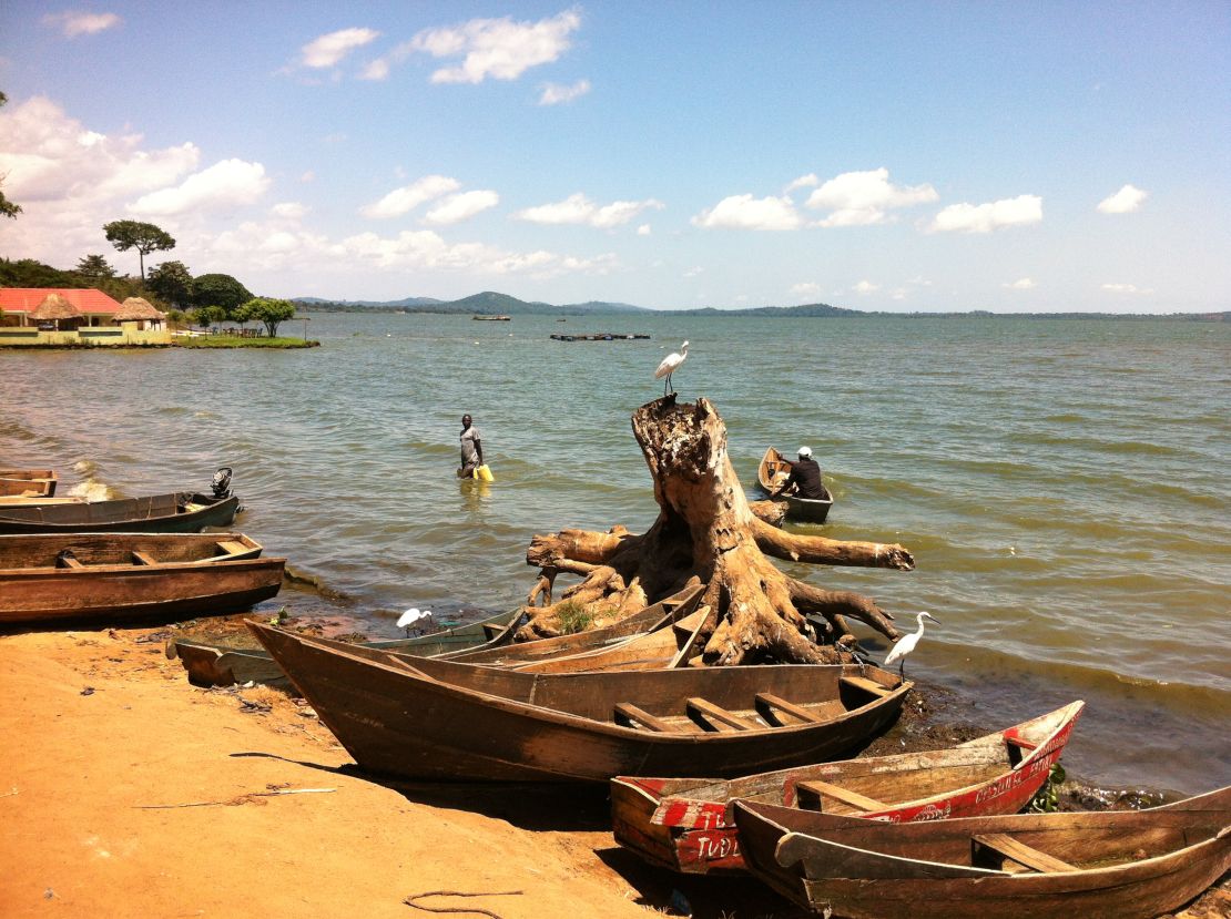 The shores of Busaabala, Uganda