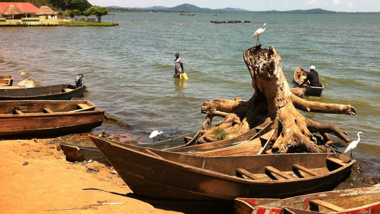 The shores of Busaabala, Uganda
