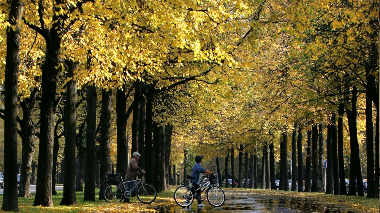 Moscow, Russia, is awash in golden leaves during fall.