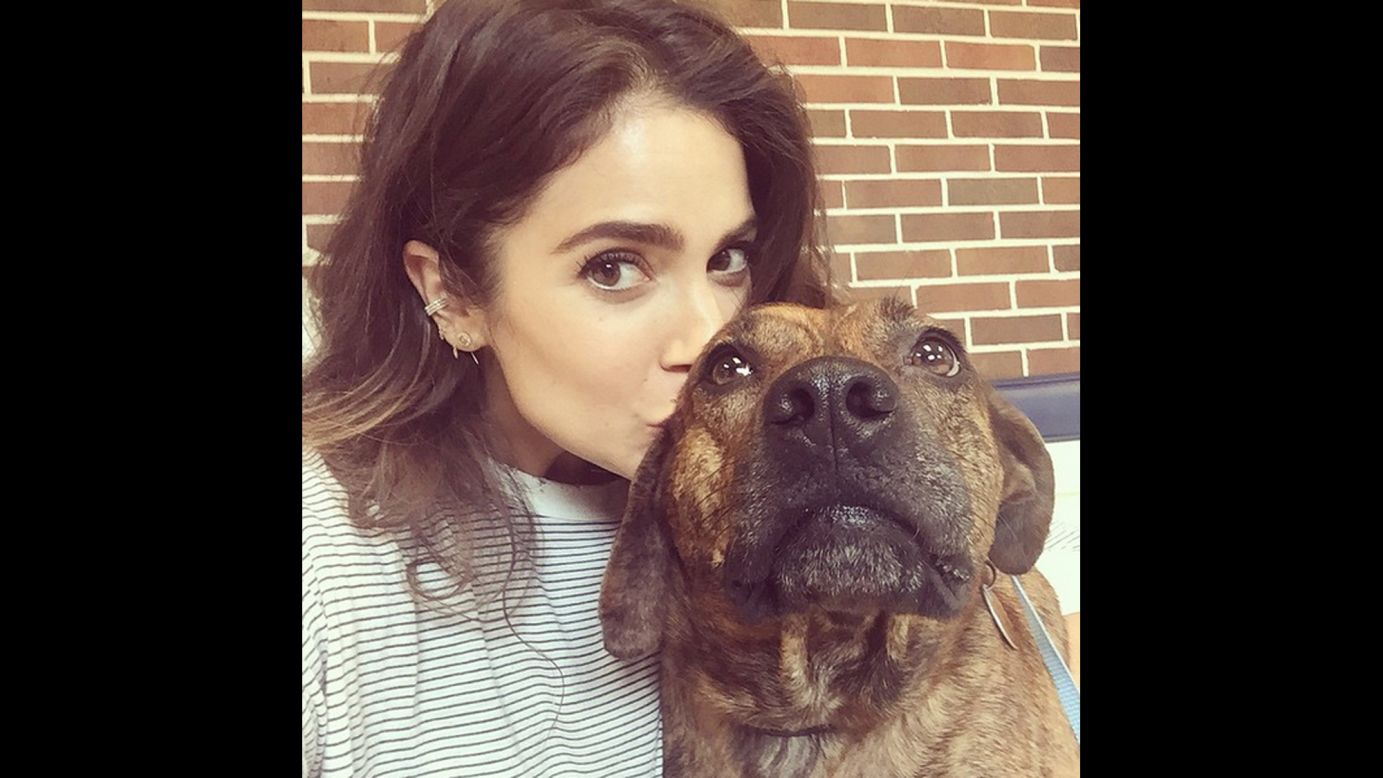 "Happy #nationaldogday," actress Nikki Reed said on Wednesday, August 26. "Meet Lucy, a dog that has changed my life forever." <a href="https://instagram.com/p/62Zdf5M9FV/" target="_blank" target="_blank">On her Instagram post,</a> Reed told the story of how she saved the dog from euthanasia. 