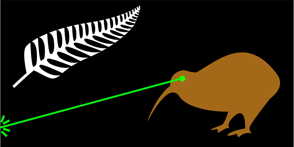 "The laser beam projects a powerful image of New Zealand. I believe my design is so powerful it does not need to be discussed," said James Gray, who created this widely-shared flag.