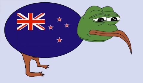 This flag was so popular it got its own Twitter account: "That feel when our eyes gaze upon the flightless and majestic rare-Kiwi bird is a classic icon of NZ's deep relationship with our ancestors, their spirit, land and culture," explained creator David Astill.