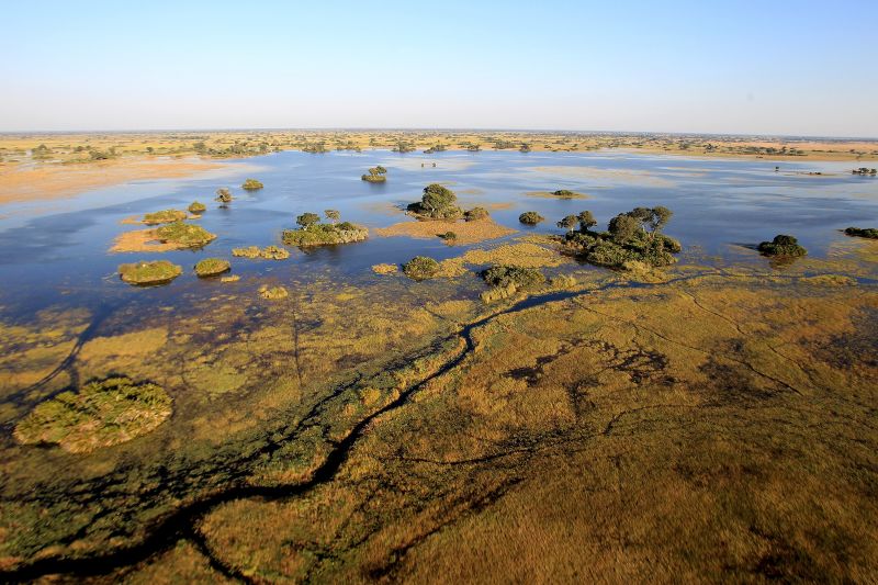 The Annual Rebirth Of The Okavango Delta | CNN