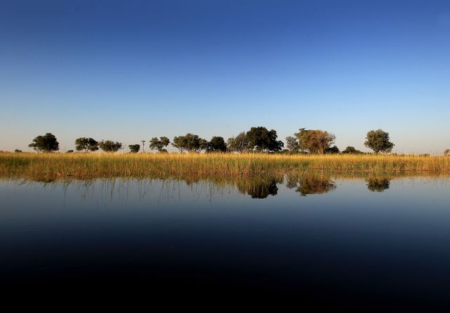 The tranquil waters of the Okavango Delta are enticing to animals and tourists alike. 