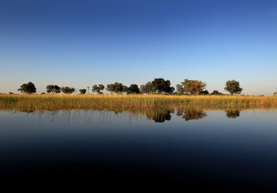 The tranquil waters of the Okavango Delta are enticing to animals and tourists alike. 