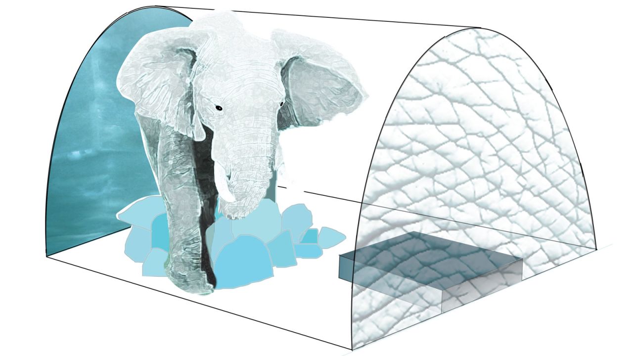 In one suite, Scandinavian artist AnnaSofia Maag will create a life-size ice sculpture of an African elephant. <br />