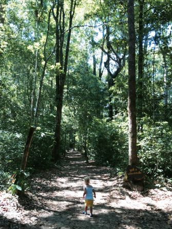 Peninsula Botanic Garden (known in Thai as "Thung Khai") is a great spot for a woodland hike. Even better is the canopy walk, which takes you high into the treetops. 