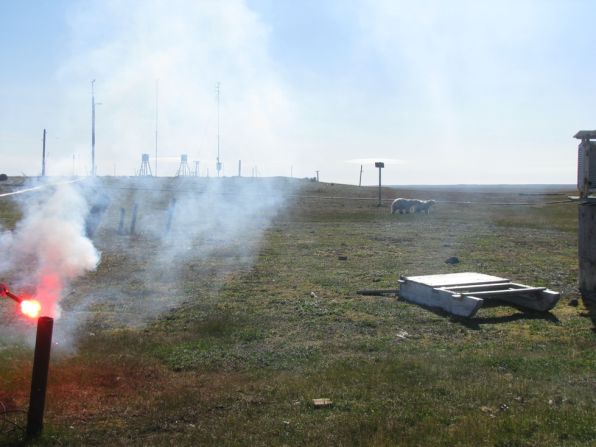 Researchers tried to scare the bears off with flares, but they were undeterred, and the WWF says team has no other weapons.