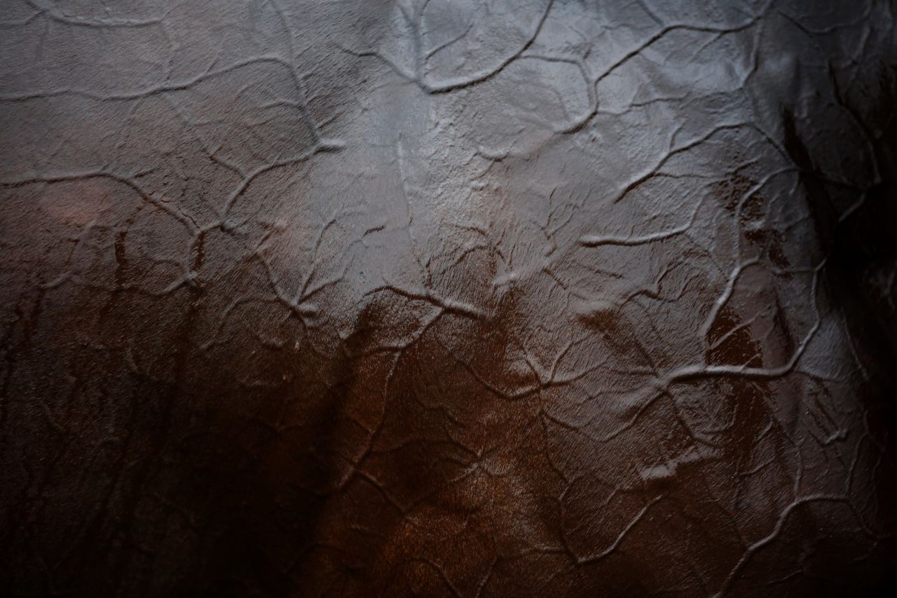 FONTWELL, ENGLAND - AUGUST 25: Veins on show through on a horse at Fontwell racecourse on August 25, 2015 in Fontwell, England. (Photo by Alan Crowhurst/Getty Images)
