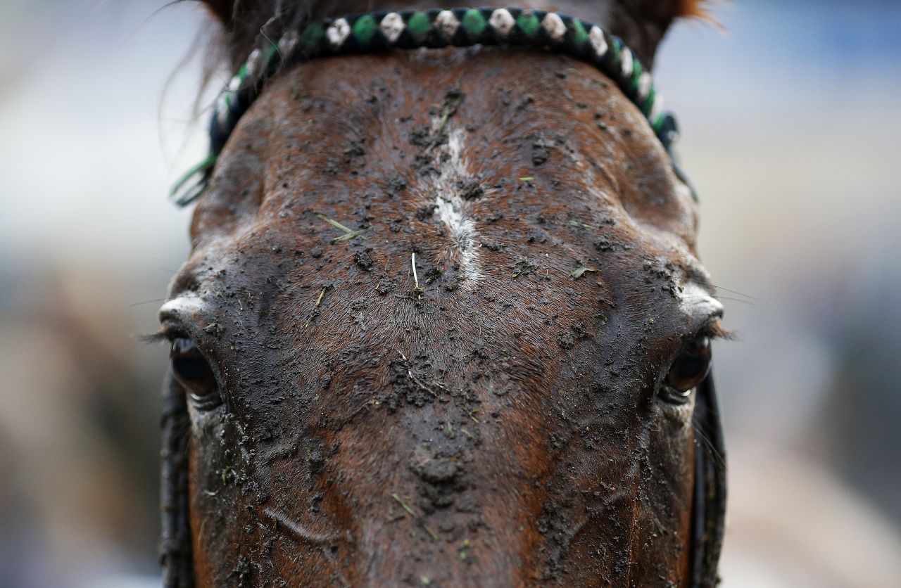 FONTWELL, ENGLAND - AUGUST 25: A muddy day at Fontwell racecourse on August 25, 2015 in Fontwell, England. (Photo by Alan Crowhurst/Getty Images)