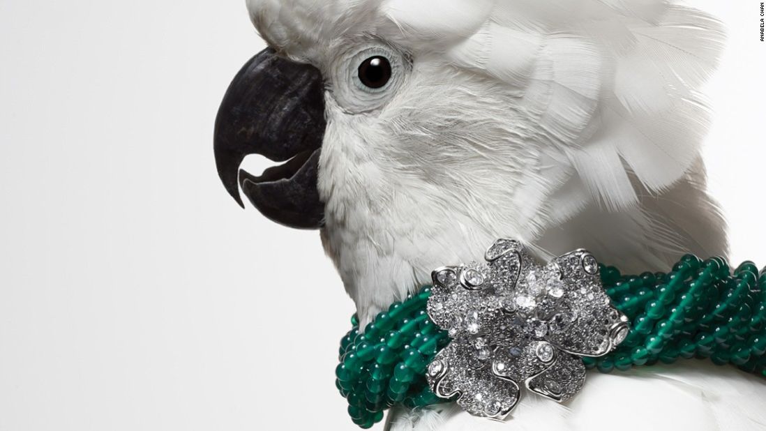 London-based jewelry designer Anabela Chan criss-crosses the globe collecting gems and knick-knacks, feathers and butterflies to incorporate into her unique jewelry designs. "The first feeling I want people to get when they see my jewelry is joy. I want each piece to have a wow factor," she said.