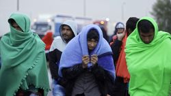 migrants arrive austria border
