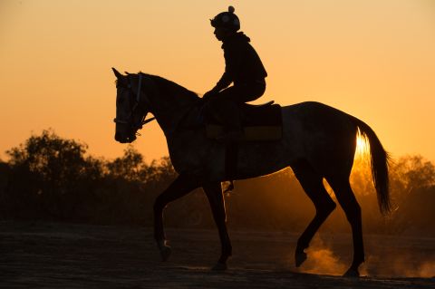Sunrise over Birdsville and a jockey takes an early morning ride in preparation for the town's big race. The <a href="http://www.birdsvilleraces.com" target="_blank" target="_blank">Birdsville Races</a> were first held in 1882, run between a handful of work horses and watched by a few locals. Today, the event attracts thousands of spectators for the two-day event. 
