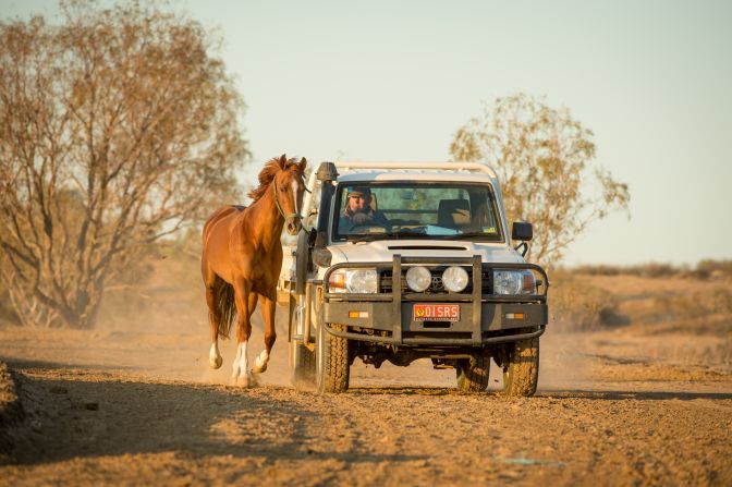 Horse owners and trainers from across Australia make the annual pilgrimage to the event described as the Melbourne Cup of the Outback.<br /><br />Located close to border of Queenland and South Australia, Birdsville is 1,500 kilometers (930 miles) due west of Brisbane. Chapman's car journey from Melbourne lasted a marathon 26 hours.<br /><br />"Driving into the town after being on the track for a day is surreal," she explains. "You wonder where all these people came from after only seeing relatively few cars on the track." <br />