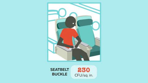 Buckle up -- then grab the hand sanitizer. According to Travelmath's bacteria tests, the airplane seatbelt buckle was found on average to contain 230 CFUs per square inch. 