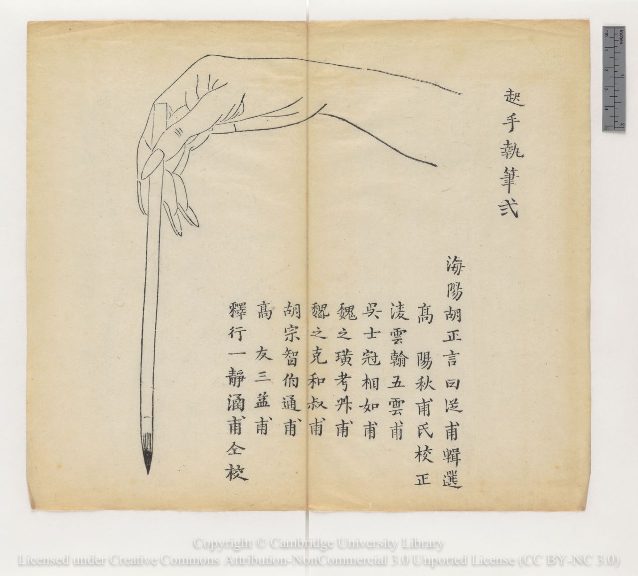 Instructions on brush technique